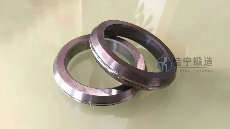 浙江绍兴仪器机械厂薄壁轴承环锻件案例
